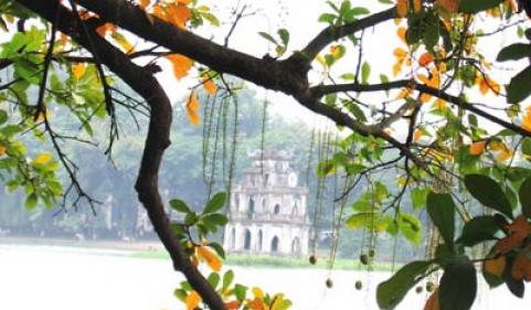 Vì Hà Nội là nơi tôi đang sống