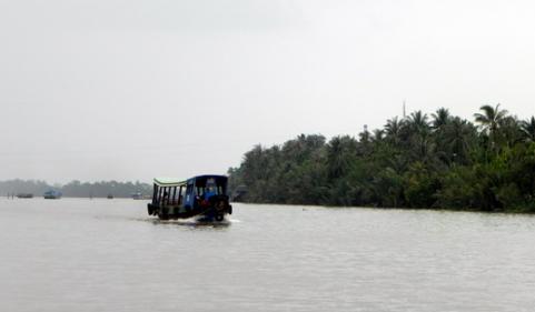 Cồn Phụng – nơi hội tụ trái cây mùa hè