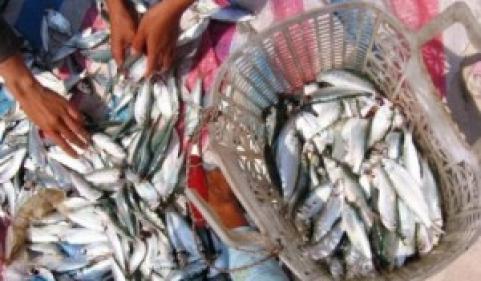 Nếp sống của cư dân Phú Quốc
