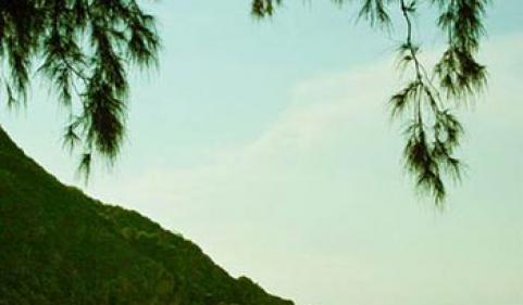 Say cảnh tuyệt sắc trong vịnh Cam Ranh