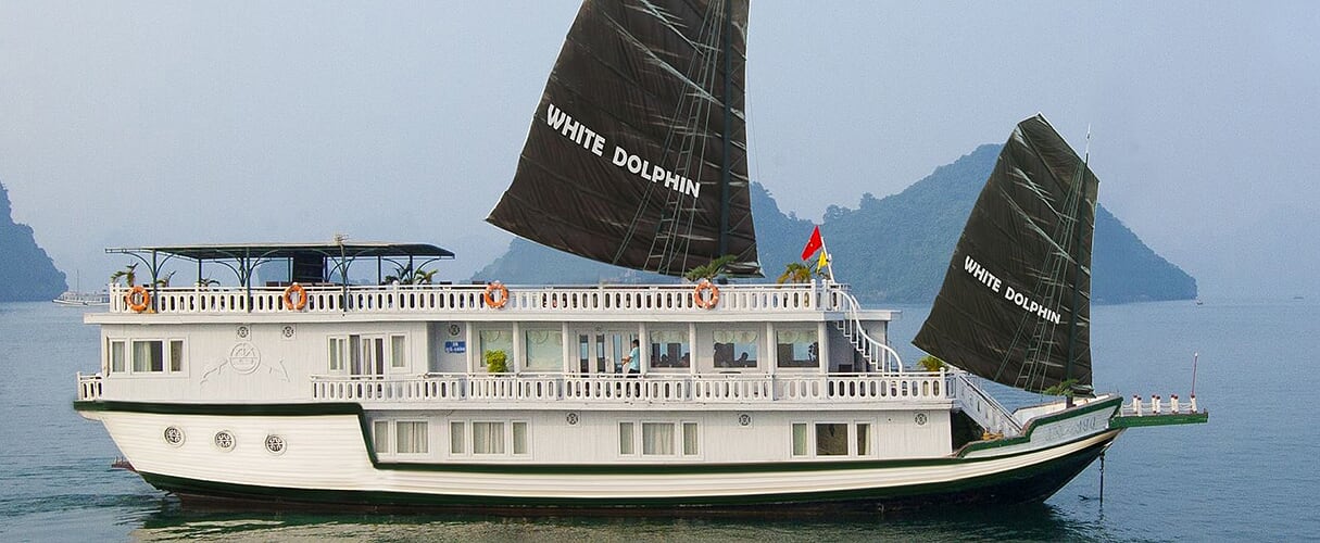 White Dolphin Legend Cruise 2 days/ 1 night