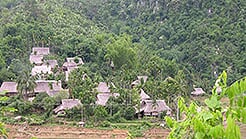 Private tour