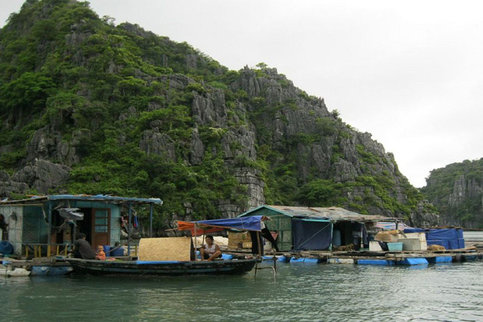 ba-hang-fishing-village-private-boat-trip-from-halong-1 