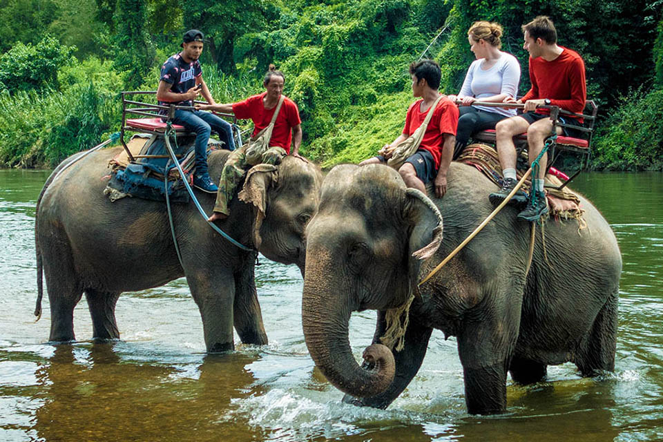 elephant-camp-highlights-of-thailand-8-days-4