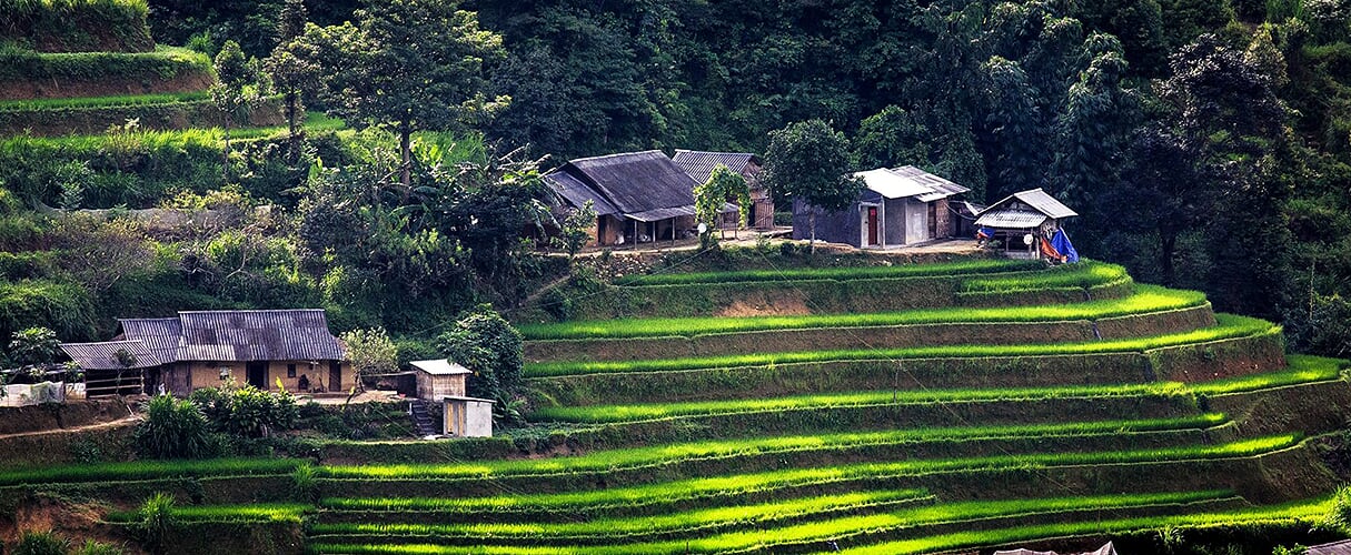 Sapa Moderate Trek with Homestay 3D4N by train