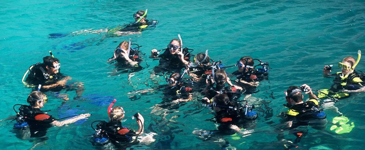 Nha Trang islands and snorkeling tour full day