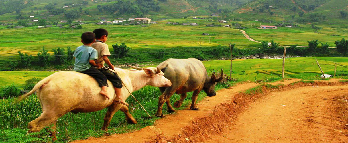 Sapa trekking by bus 3D2N (homestay and hotel stay)