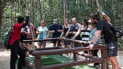 Group tour