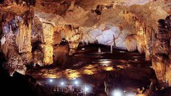 Group tour
