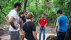 Standard group tour - No lunch