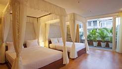 Private Tour (3* hotel/homestay)