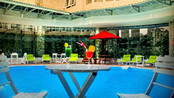 Superior (3* hotel+homestay)