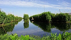 Private tour price