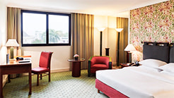 Luxury Group Tour