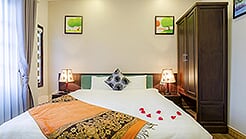 Private tour (3* hotel)