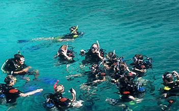 Nha Trang islands and snorkeling tour full day