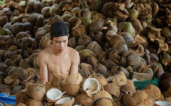 Mekong Delta Adventure day tour