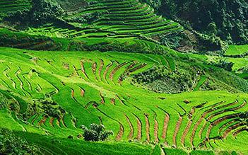 Sapa Medium Trek 3D4N (homestay-hotel) by train