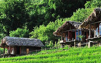Sapa Trekking and Market tour 3D4N by train