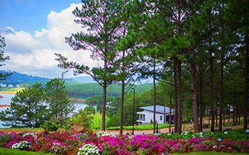 Taste of the South 9 days