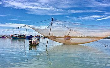 Hoi An Fish and Chips full day