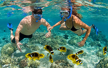 Private tour without lunch