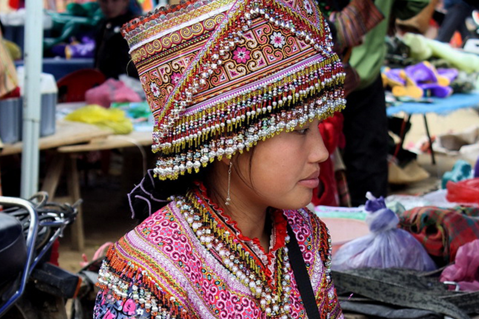 960-bac-ha-flower-hmong-people