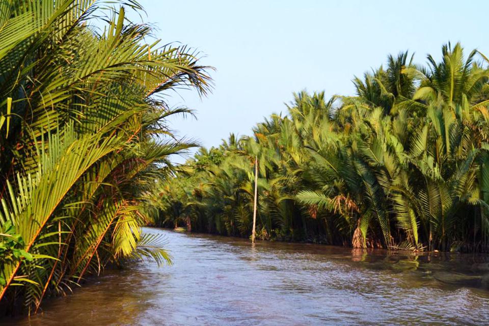 960-coconut-along-mekong-delta