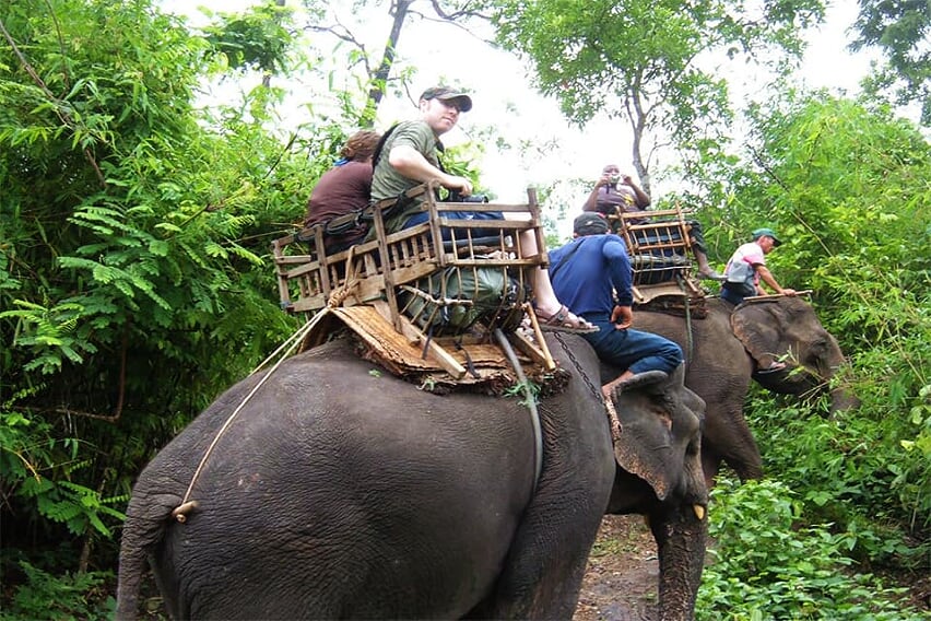 thailand-laos-discovery-23-days-elephant-chiang-rai-2