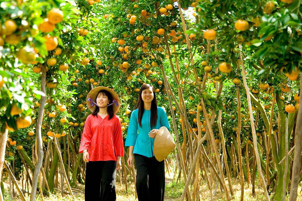 orchard-garden-mekong-bailing-canal-tour-2-days-1