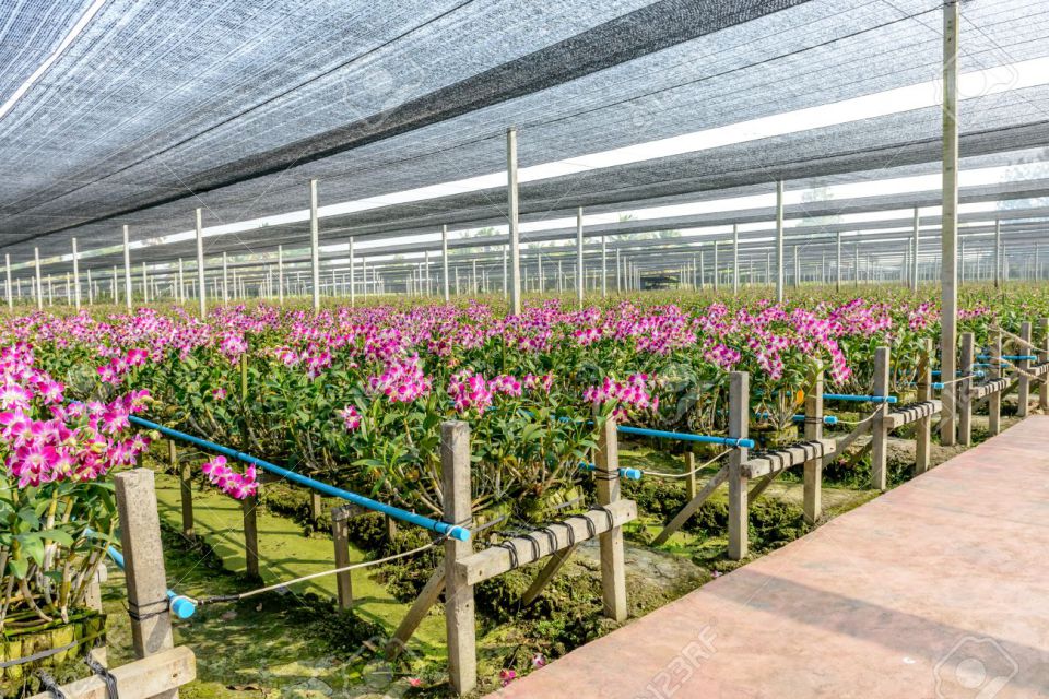 orchid-nursery