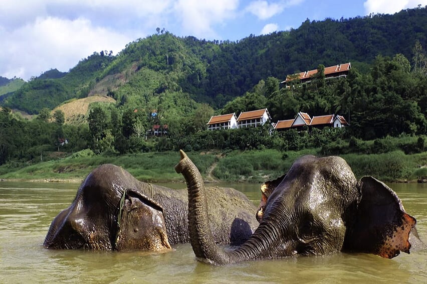 Lao-Thailand-revealed-pakbeng-rivercpea-7