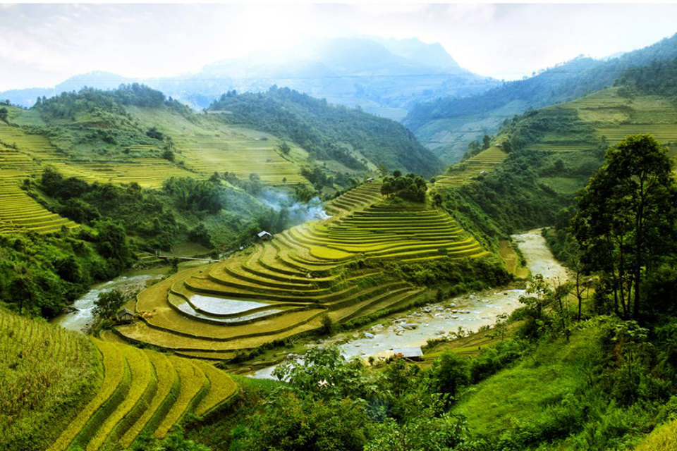 960-rice-paddy-valley