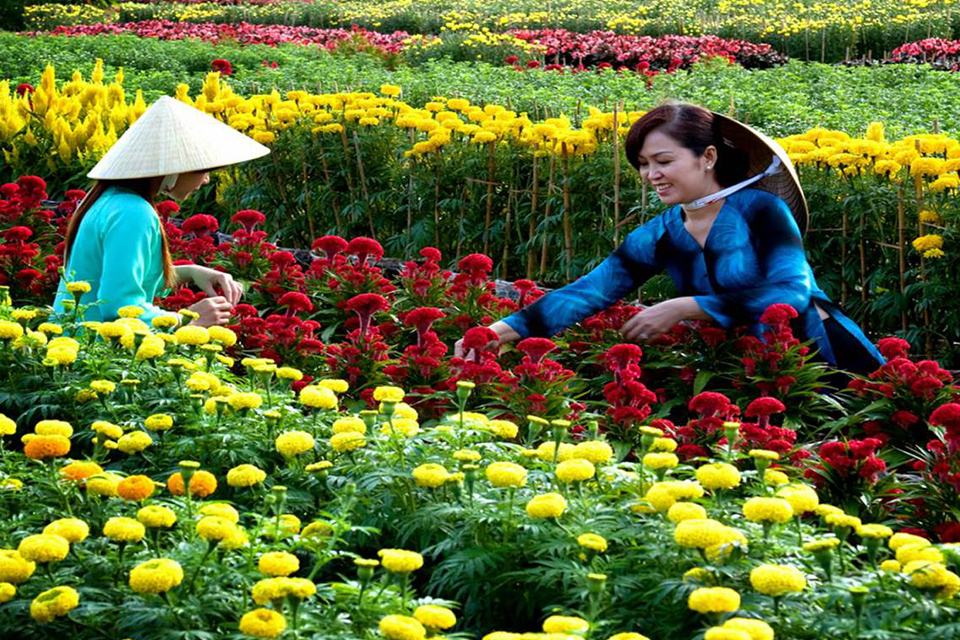 sa-dec-flower-garden-mekong