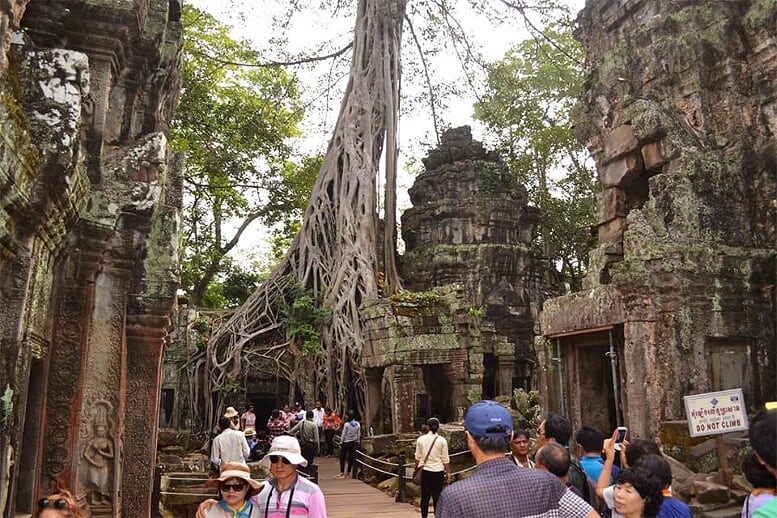 hightlights-of-vietnam-cambodia-12-days-ta-prohm-temple-cambodia-10