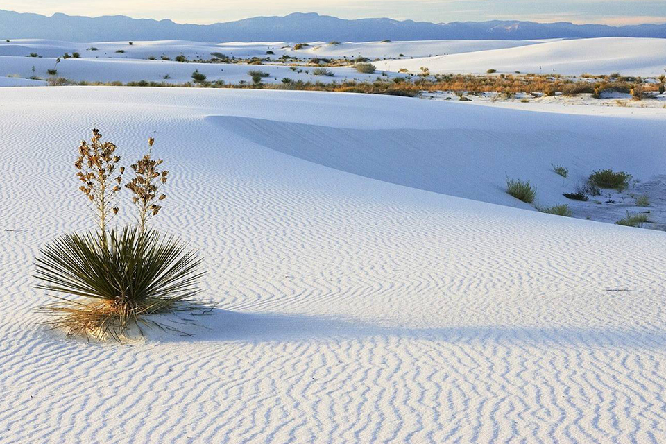 960-white-sandy-dunes