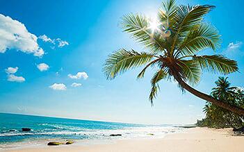 Explore Bay Canh Island with canoe