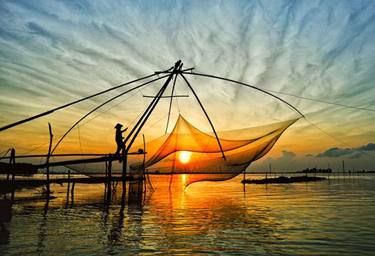 Mekong Delta Tours