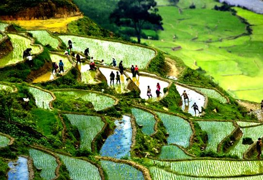 Sapa Tours