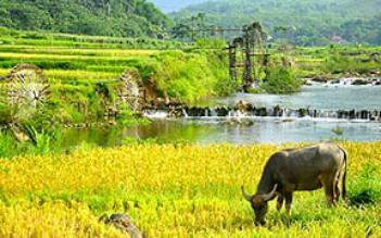 Mai Chau - Pu Luong 3 days trekking
