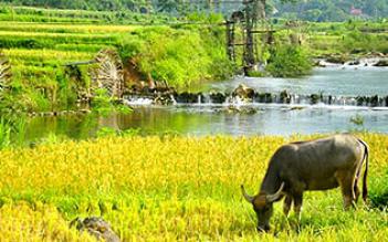 Pu Luong Retreat 2 days/ 1 night