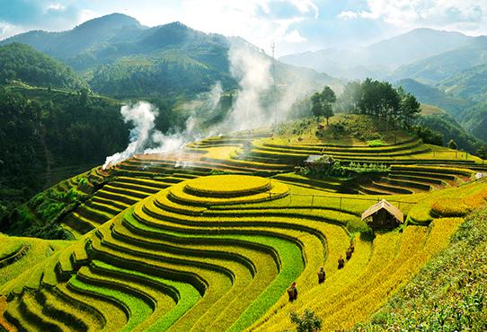 Vietnam Tours