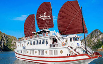 Lavender Cruise 3 days/2 nights