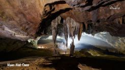 Group tour