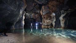 Private tour