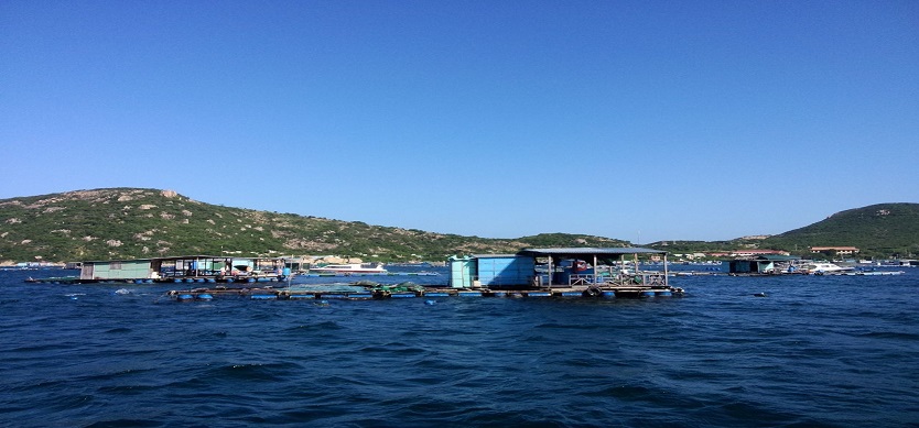 Discover the An Binh Island by boat