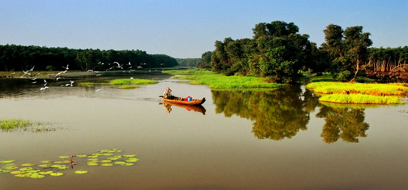 Dong Thap promote ecological tourism