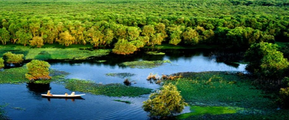 Explore Mekong Delta on Flooding Season