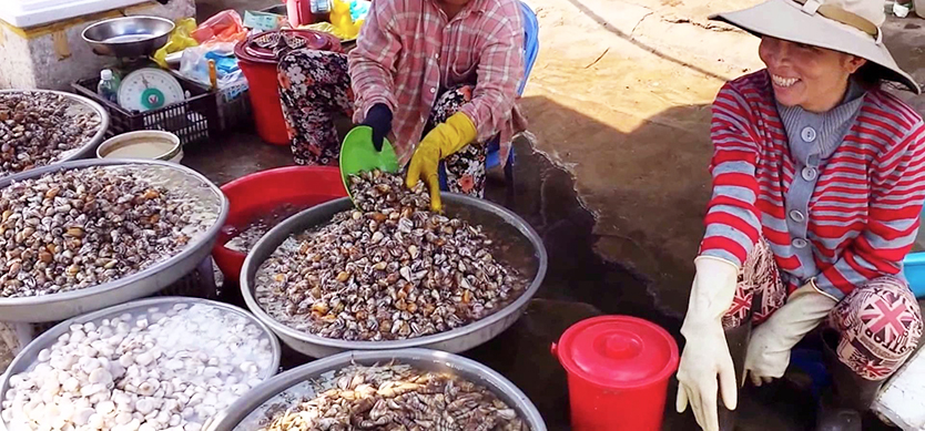 Explore the local markets in Phu Quoc