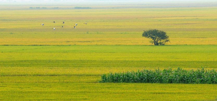 Mekong Culture To Be Promoted In Hanoi